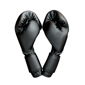 GENETIX COMBAT GNTX Boxing Gloves GBG5 BlackWhite