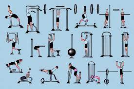 Circuit Training