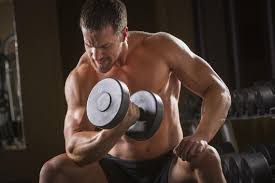 Sebelum latihan pahami dulu tentang Anabolik dan Katabolik