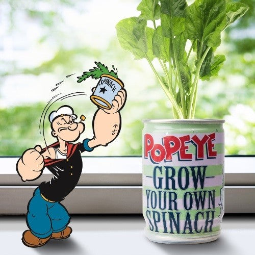 PROTEIN YANG BAIK UNTUK OTOT