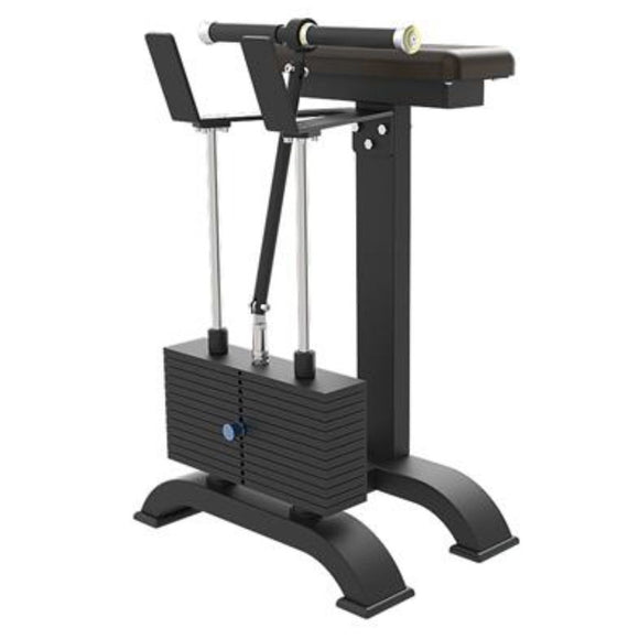 alat gym wrist