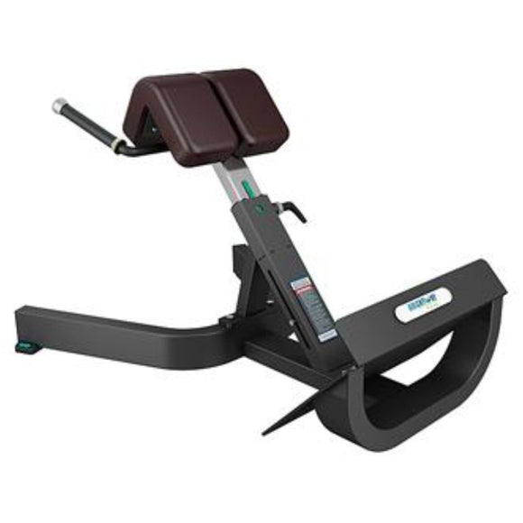alat fitnes untuk latihan punggung