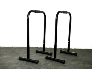 GENETIX FIT Equalizer Dip Bar