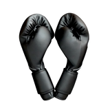 GENETIX COMBAT GNTX Boxing Gloves GBG5 BlackWhite